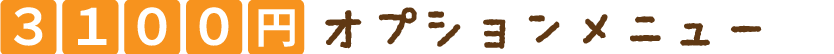 3000円オプションメニュー
