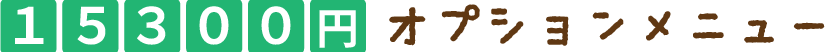 15000円オプションメニュー