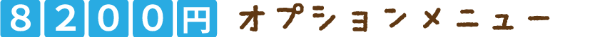8000円オプションメニュー